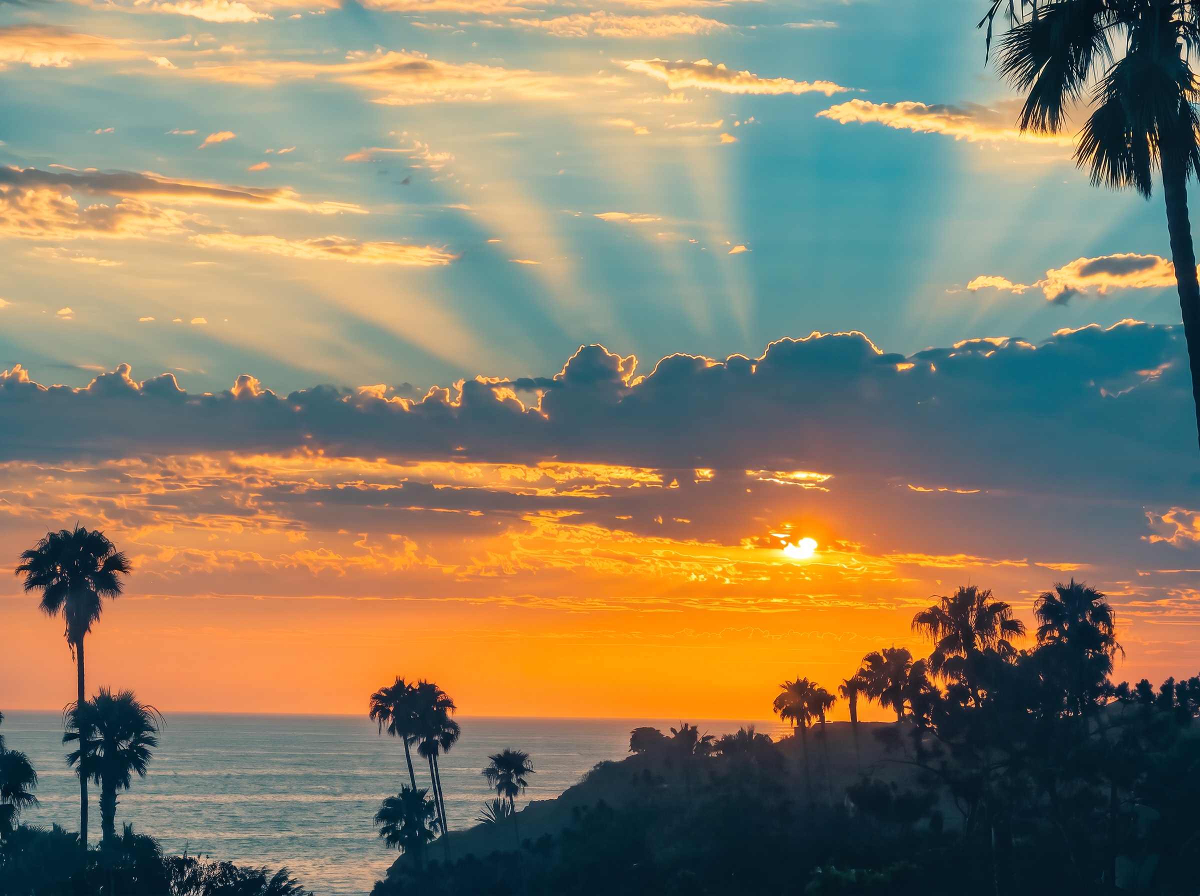 Vivid sunset over the ocean with golden sun rays and palm tree silhouettes